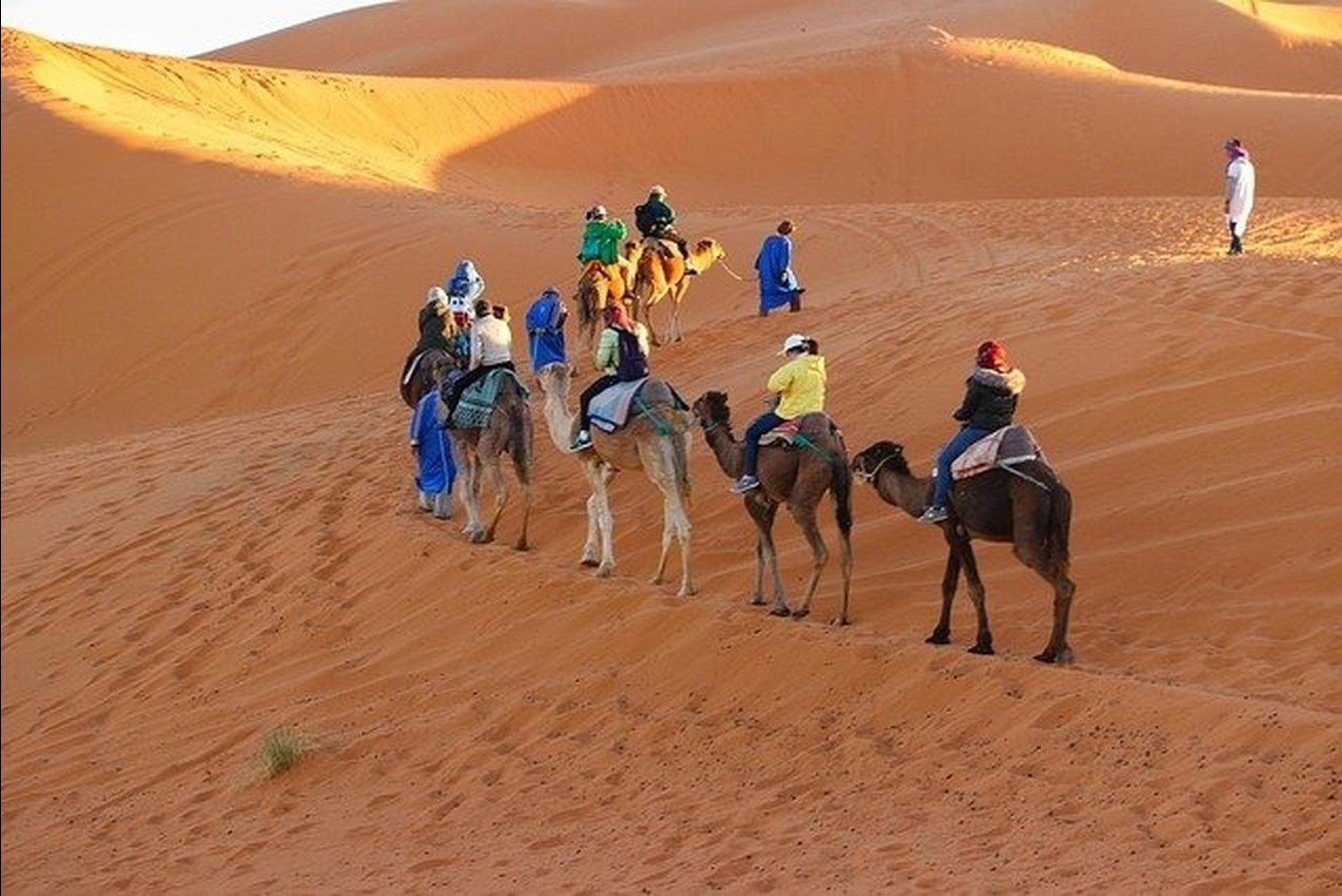 Camel Trekking Sahara