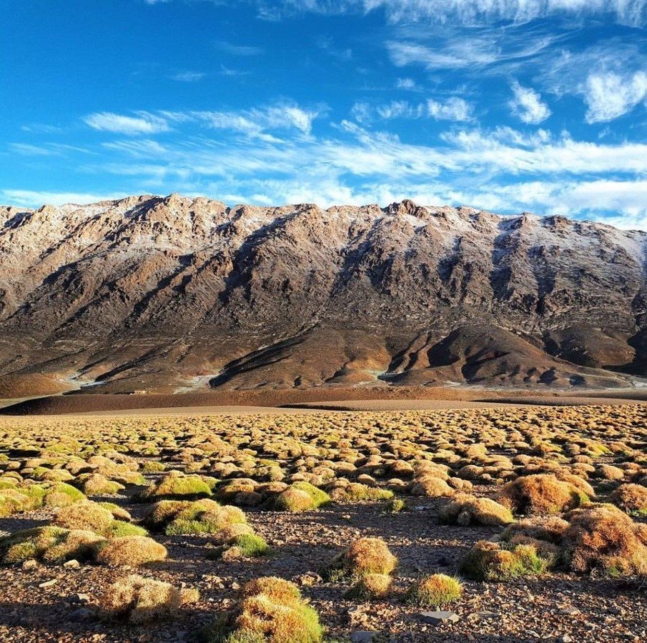 M'Goun Summit Expedition 4,071m