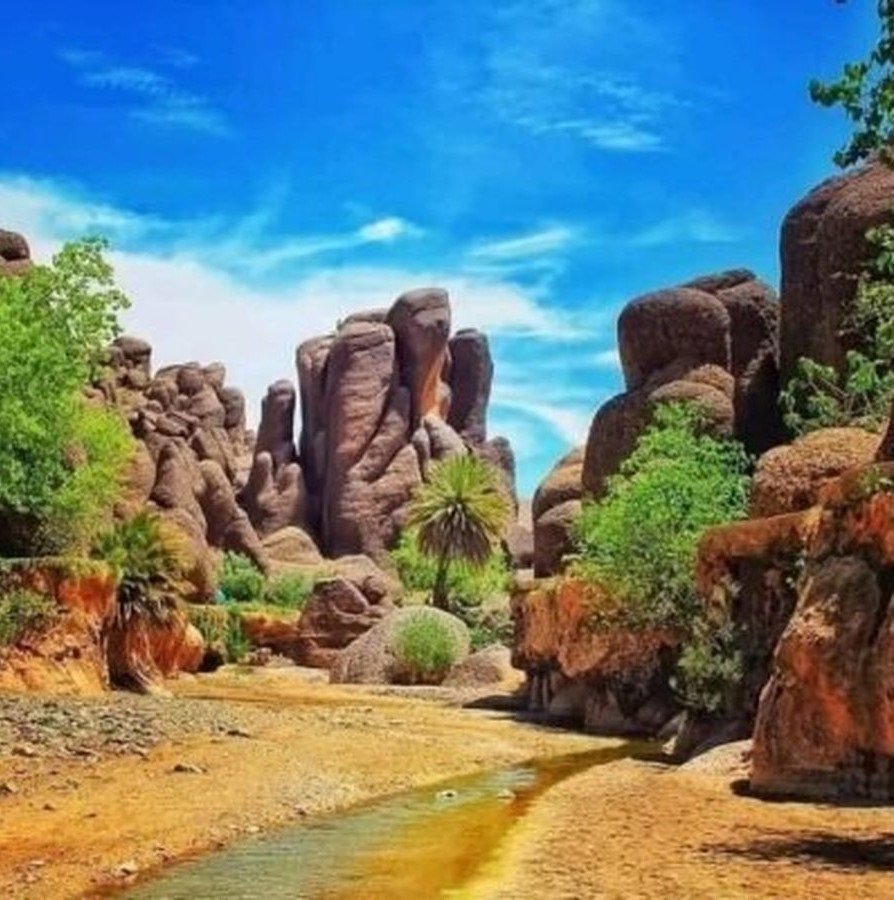 Massif du Siroua Champs de Safran